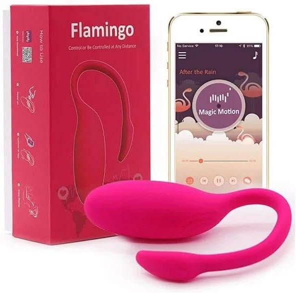 App Controlled Sex Toy